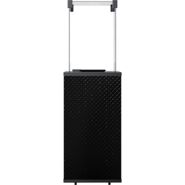 Kratki PATIO/MINI/G31/37MBAR/CZ/P стекло, черное тиснение с пультом ДУ