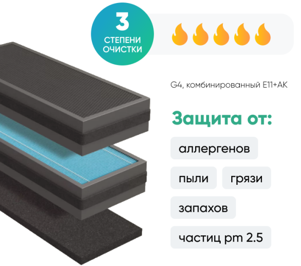 Tion BioX SM Standard