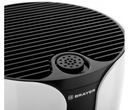 BRAYER BR4930